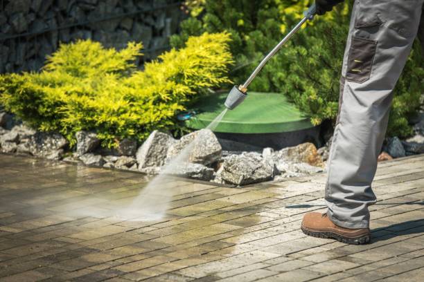 Best Gutter Cleaning  in Nescopeck, PA
