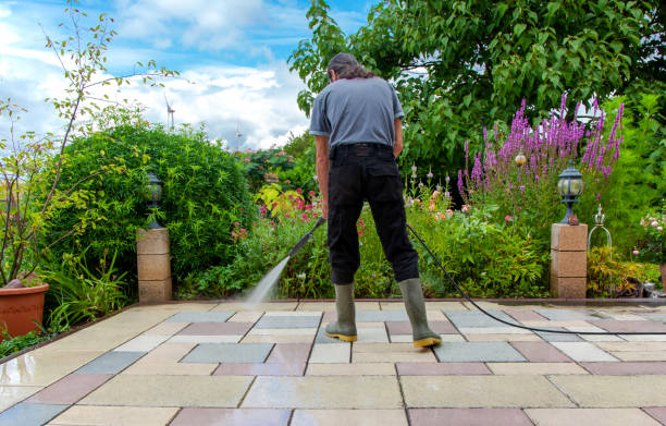 Best Driveway Pressure Washing  in Nescopeck, PA